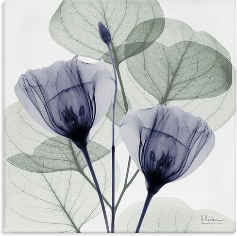 Stupell Industries Contemporary Eucalyptus & Herbs Canvas Wall Art, design by Albert Koetsier, 24 x 24 in Kuwait