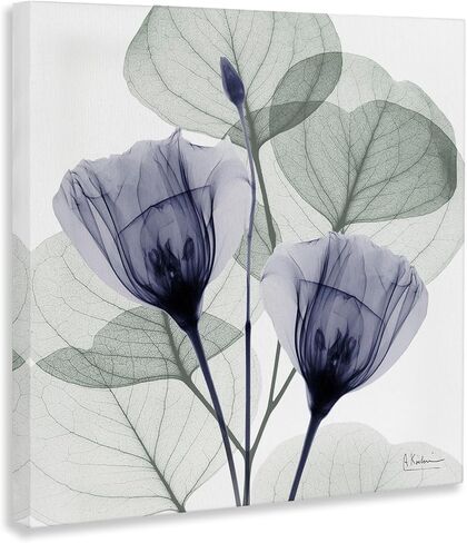 Stupell Industries Contemporary Eucalyptus & Herbs Canvas Wall Art, design by Albert Koetsier, 24 x 24 in Kuwait