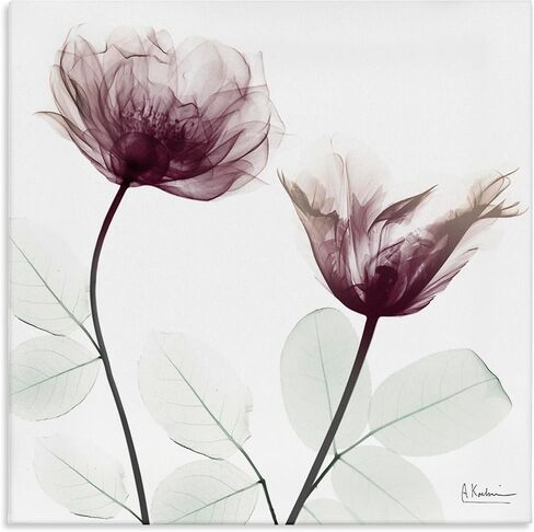 Stupell Industries Minimalist Translucent Flowers Canvas Wall Art, design by Albert Koetsier, 24 x 24 in Kuwait