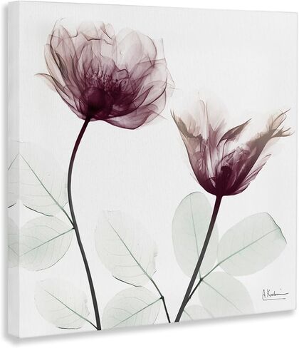 Stupell Industries Minimalist Translucent Flowers Canvas Wall Art, design by Albert Koetsier, 24 x 24 in Kuwait