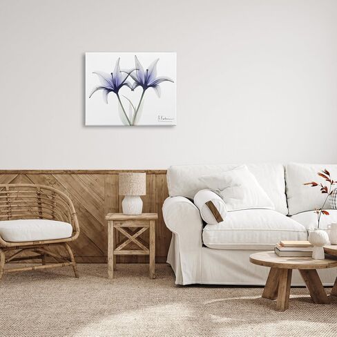 Stupell Industries X-Ray Lily Flowers Canvas Wall Art by Albert Koetsier in Kuwait