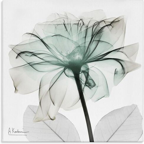 Stupell Industries Unique Chic Flower Petal Canvas Wall Art, design by Albert Koetsier, 24 x 24 in Kuwait