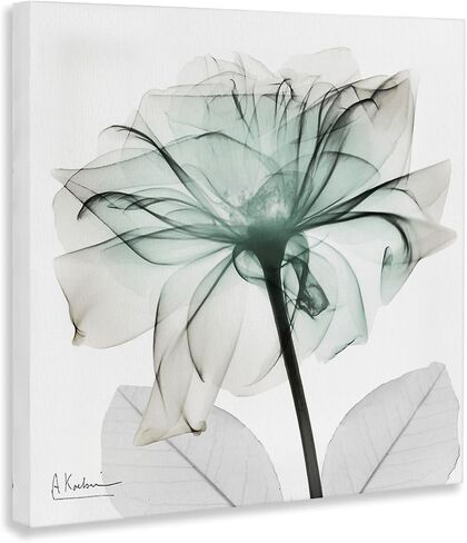 Stupell Industries Unique Chic Flower Petal Canvas Wall Art, design by Albert Koetsier, 24 x 24 in Kuwait