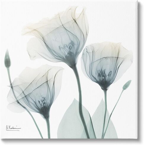 Stupell Industries Soft Opaque Tulips Canvas Wall Art by Albert Koetsier in Kuwait