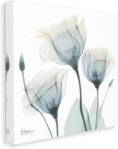 Stupell Industries Soft Opaque Tulips Canvas Wall Art by Albert Koetsier in Kuwait