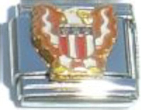USA Patriotic Eagle Italian Charm in Kuwait