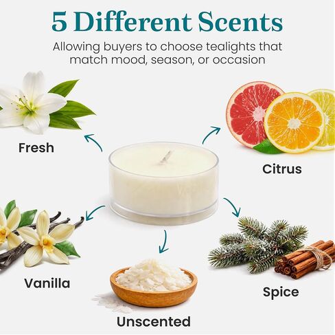 Jumbo Tealight Tower, Refill Storage Tube with 6 Premium Tealights, Fits Tall Wrap A Candle Base, 7 Inch Organizer for Scent Rotation, Vanilla Citrus Fresh Spice Holiday Unscented Choice, Gift Décor in Kuwait
