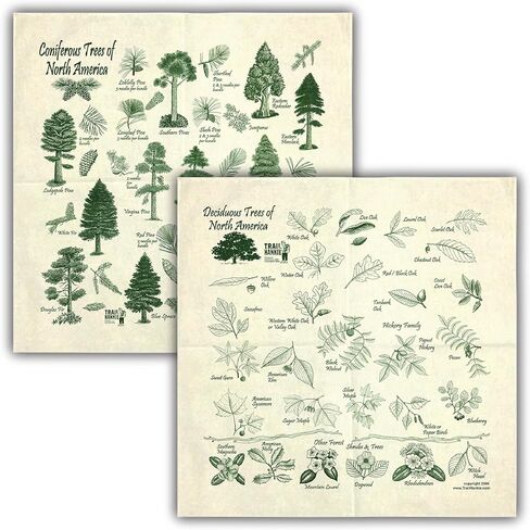 2-Pack Tree Identification Bandanas in Saudi Arabia