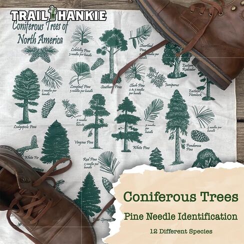 2-Pack Tree Identification Bandanas in Saudi Arabia