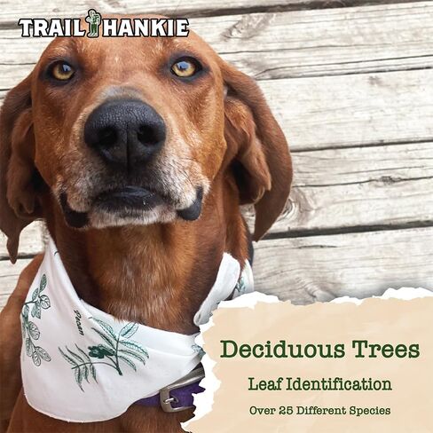 2-Pack Tree Identification Bandanas in Saudi Arabia