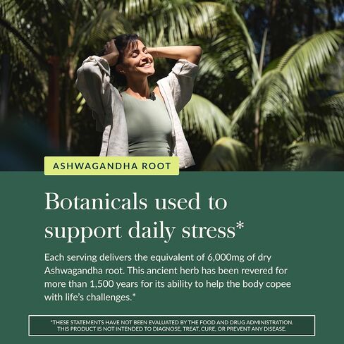 Gaia Herbs Organic Ashwagandha Gummies - Stress Support* - Supports Healthy Cortisol Balance* - Made with Cinnamon & Ginger - Gluten Free & Vegan - 81 Count (27 Servings) in Kuwait
