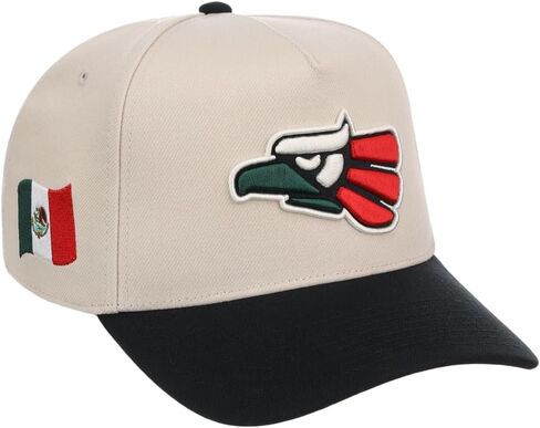 Rings & Crwns Mexico Country Pride Logo A-Frame Adjustable Snapback Cap (Chrome/Black, One Size) in Kuwait
