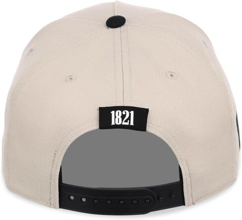 Rings & Crwns Mexico Country Pride Logo A-Frame Adjustable Snapback Cap (Chrome/Black, One Size) in Kuwait