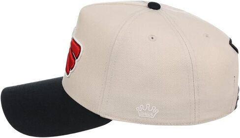 Rings & Crwns Mexico Country Pride Logo A-Frame Adjustable Snapback Cap (Chrome/Black, One Size) in Kuwait