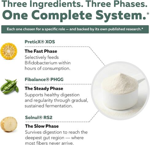 Phase Fiber™ Prebiotic Powder for Complete Gut & Digestion Support, Low FODMAP Certified Ingredients, Triple Phase Fermentation, Clinically Studied for Sensitive Digestion, Vegan (30 Servings) in Saudi Arabia