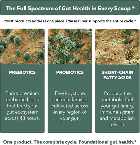 Phase Fiber™ Prebiotic Powder for Complete Gut & Digestion Support, Low FODMAP Certified Ingredients, Triple Phase Fermentation, Clinically Studied for Sensitive Digestion, Vegan (30 Servings) in Saudi Arabia