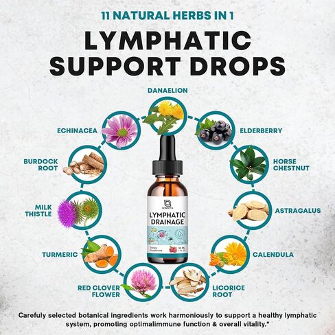 Lymphatic Drainage Drops - 11 in 1 Lymphatic Supplement with Echinacea, Horse Chestnut, Dandelion, Elderberry & Burdock, Support Lymph, Liver Detox & Repair - Raspberry Flavor, Sugar Free, 2 Fl Oz in Saudi Arabia