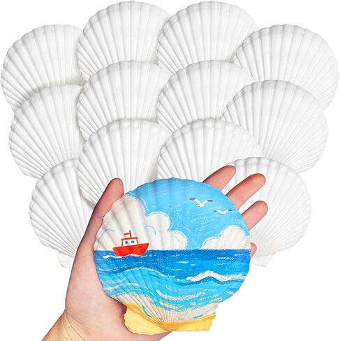 Baaxxango 12 PCS 4-5 Inch Large Scallop Seashells,Natural White Shells for Crafting DIY Painting,Big Sea Shells for Home,Fish Tank,Wedding,Beach Party,Christmas Decorations in Saudi Arabia