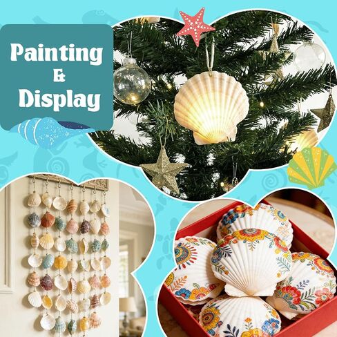Baaxxango 12 PCS 4-5 Inch Large Scallop Seashells,Natural White Shells for Crafting DIY Painting,Big Sea Shells for Home,Fish Tank,Wedding,Beach Party,Christmas Decorations in Saudi Arabia