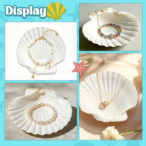 Baaxxango 12 PCS 4-5 Inch Large Scallop Seashells,Natural White Shells for Crafting DIY Painting,Big Sea Shells for Home,Fish Tank,Wedding,Beach Party,Christmas Decorations in Saudi Arabia