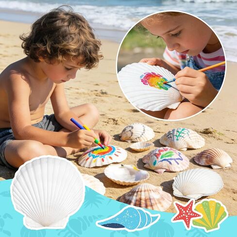 Baaxxango 12 PCS 4-5 Inch Large Scallop Seashells,Natural White Shells for Crafting DIY Painting,Big Sea Shells for Home,Fish Tank,Wedding,Beach Party,Christmas Decorations in Saudi Arabia