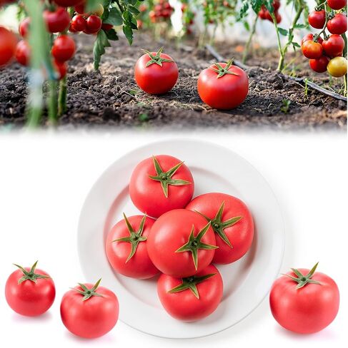 24 Pieces Artificial Strawberries for Bird Deterrence 2.16inch/2.36inch/2.75inch Faux Realistic Strawberry Plastic Simulation Fake Fruit Decoration for Garden Bird Deterrent in Kuwait
