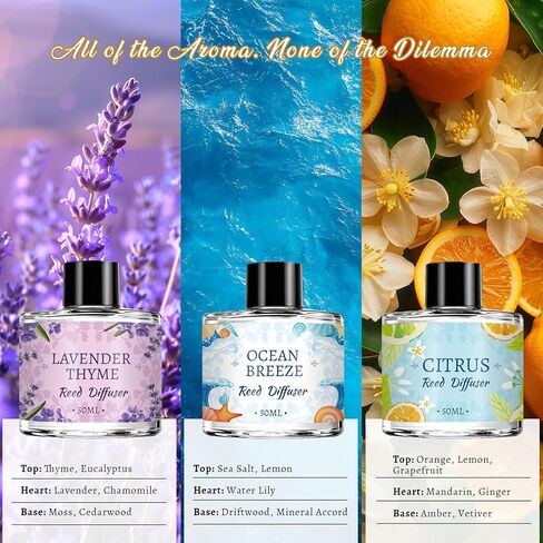 6 Pack Reed Diffuser Sets, Essential Oil Reed Diffusers for Home with 30 Sticks, Long Lasting Scent, Gift Ready Fragrance Diffuser for Bedroom, Bathroom, Office, Home Decor (1.69oz Each) in Saudi Arabia