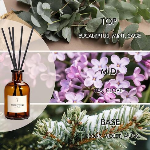 Reed Diffuser Set, 8.12 fl.oz Eucalyptus Scented Diffuser with Sticks, Up to 120 Days, Home Fragrance Reed Diffuser for Bathroom Shelf Decor & Room Freshener, 2 Pack in Saudi Arabia