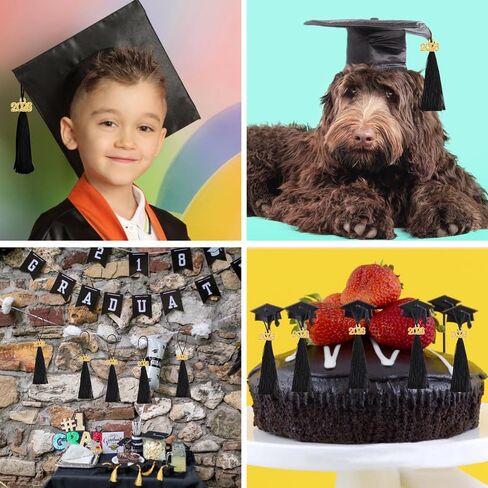 Mini Graduation Tassels, 50Pcs Mini Graduation Tassels with 50 Pcs 2026 Tassel Charms for Graduation Cap Keychain Ornaments DIY Craft Bookmarks Gifts Tag Jewelry Making Project,Black in Kuwait