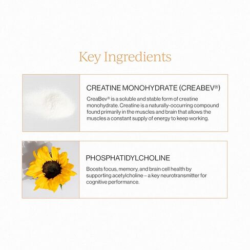 CYMBIOTIKA Liposomal Advanced Creatine Supplement, Muscle Recovery, Fitness Performance, Brain Health, Enhanced Absorption, Gluten Free, Soy Free, 5g (5000mg) per Serving, 24 x 30 mL Liquid Packets in Kuwait