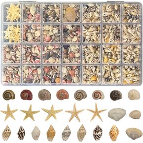 25 Types Small Sea Shells for Crafts, 1800 Pcs Tiny Seashells with Mixed Size Starfish for Crafting Spiral Conch Shells for Crafts Charms for Home Decorations Candle Decor DIY and Beach Vase Filler in Saudi Arabia