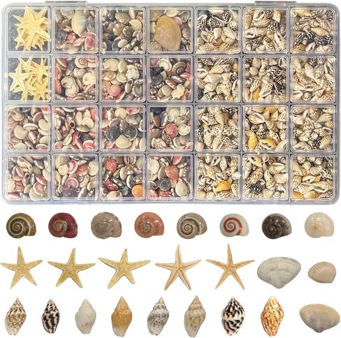25 Types Small Sea Shells for Crafts, 1800 Pcs Tiny Seashells with Mixed Size Starfish for Crafting Spiral Conch Shells for Crafts Charms for Home Decorations Candle Decor DIY and Beach Vase Filler in Saudi Arabia