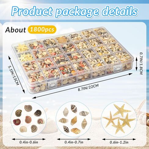 25 Types Small Sea Shells for Crafts, 1800 Pcs Tiny Seashells with Mixed Size Starfish for Crafting Spiral Conch Shells for Crafts Charms for Home Decorations Candle Decor DIY and Beach Vase Filler in Saudi Arabia