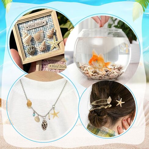 25 Types Small Sea Shells for Crafts, 1800 Pcs Tiny Seashells with Mixed Size Starfish for Crafting Spiral Conch Shells for Crafts Charms for Home Decorations Candle Decor DIY and Beach Vase Filler in Saudi Arabia