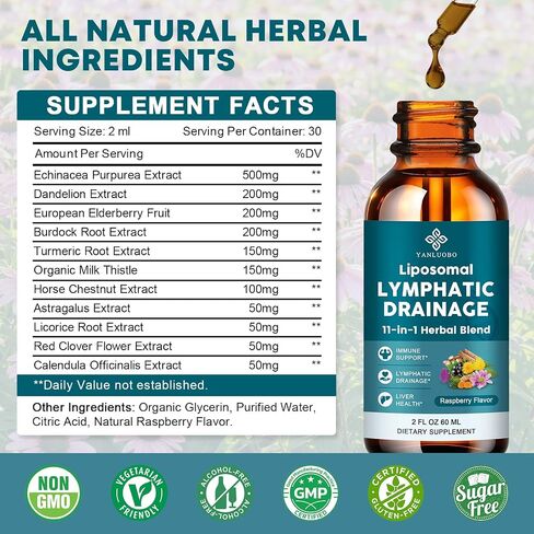 Liposomal Lymphatic Drainage Drops - 11 in 1 Lymphatic Drainage Supplement for Immune, Lymph System & Liver Detox - with Echinacea, Horse Chestnut, Dandelion, Elderberry & Burdock - 2 FL Oz in Kuwait