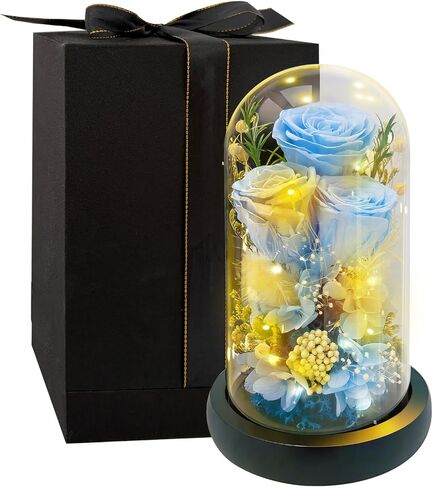 HipTree Preserved Pink Rose in Glass Dome with LED Lights - Forever Eternal Real Rose Gifts for Women, Valentines Day Mothers Day Birthday Christmas Gift Wedding Anniversary for Mom Wife Girlfriend in Kuwait