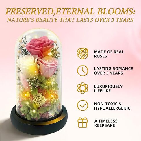 HipTree Preserved Pink Rose in Glass Dome with LED Lights - Forever Eternal Real Rose Gifts for Women, Valentines Day Mothers Day Birthday Christmas Gift Wedding Anniversary for Mom Wife Girlfriend in Saudi Arabia