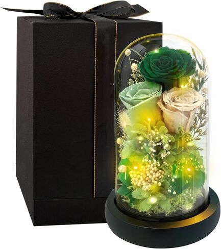 HipTree Preserved Pink Rose in Glass Dome with LED Lights - Forever Eternal Real Rose Gifts for Women, Valentines Day Mothers Day Birthday Christmas Gift Wedding Anniversary for Mom Wife Girlfriend in Saudi Arabia