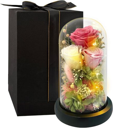 HipTree Preserved Pink Rose in Glass Dome with LED Lights - Forever Eternal Real Rose Gifts for Women, Valentines Day Mothers Day Birthday Christmas Gift Wedding Anniversary for Mom Wife Girlfriend in Saudi Arabia