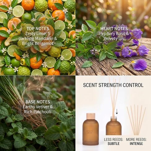 Reed Diffuser Set for Home 6.7 oz Scented Oil Diffuser with 6 Fiber Sticks, Smell Good Long Lasting Fragrance for Bathroom, Living Room, Office and Aromatherapy Gift (Lemon Grass) in Kuwait