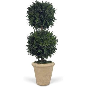 Shine Company Real Preserved Double-Ball Cypress Topiary in Terracotta Pot (16" Tall/6" Wide) in Saudi Arabia