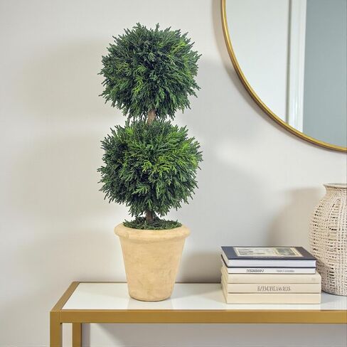 Shine Company Real Preserved Double-Ball Cypress Topiary in Terracotta Pot (16" Tall/6" Wide) in Saudi Arabia