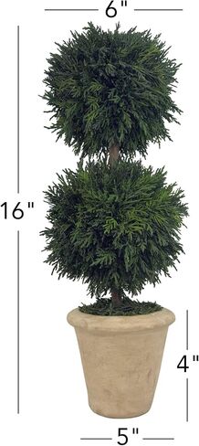 Shine Company Real Preserved Double-Ball Cypress Topiary in Terracotta Pot (16" Tall/6" Wide) in Saudi Arabia
