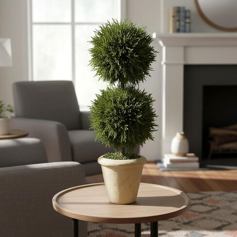 Shine Company Real Preserved Double-Ball Cypress Topiary in Terracotta Pot (16" Tall/6" Wide) in Saudi Arabia