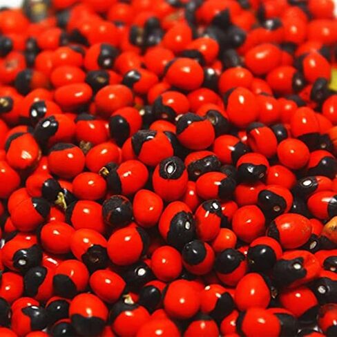 CROV Rakt G.un.ja Seeds for Pooja (100 Grams) in Kuwait