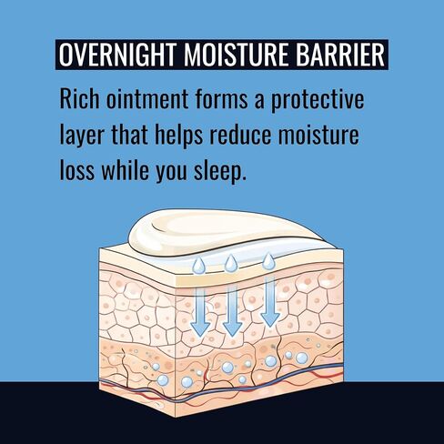 NOVEHA NIGHTTIME Eyelid Ointment Night Gel For Dry Eye Relief | Long Lasting Moisturizer Preservative Free | Moisturizing Cream for Night, External Use Only | 0.35 Oz / 10 gr in Kuwait