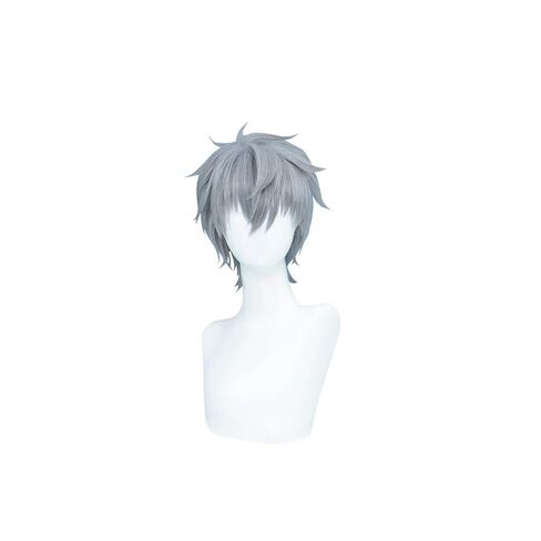 KIRA KIRA Tilll Cosplay Wig 32cm/12.6’’ Anime Alienn Stagee Tilll Cosplay Wig Short Straight Grey Hair for Halloween (30cm) in Kuwait