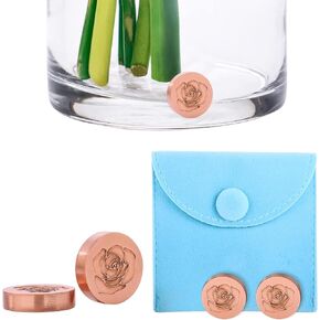 Copper Flower Food Alternative – Reusable Flower Vase Copper Charms, Keeps Cut Flowers Fresh Longer for Home and Gift(Heart Set) in Saudi Arabia
