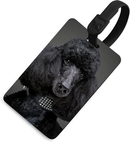 Adorable Black Poodle Luggage Tag Holder Cute Baggage Tags Suitcase Lables for Travel in Saudi Arabia