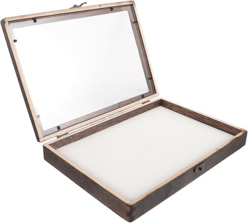 SEWACC Wall-Mount Wooden Insect Display Case with Clear Acrylic Window Specimen Box for Butterfly and Bug Collection, Sturdy Dried Flower Storage Holder in Kuwait
